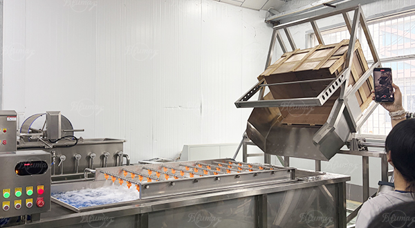 Mango Washing, Coring, Peeling, Slice Cutting Machine Customized Mango Process Line