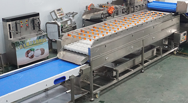 Mango Washing, Coring, Peeling, Slice Cutting Machine Customized Mango Process Line