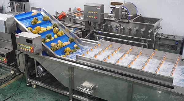Mango Washing, Coring, Peeling, Slice Cutting Machine Customized Mango Process Line