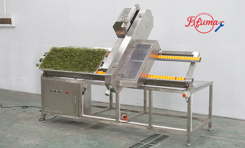 Commercial Automatic Tray-Grown Sprout Root Cutter Machine