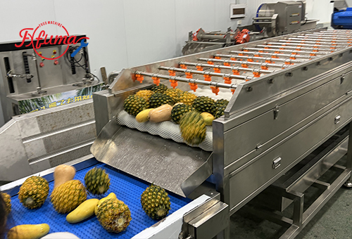 What are the Steps to Process Pineapple Chunks?cid=4