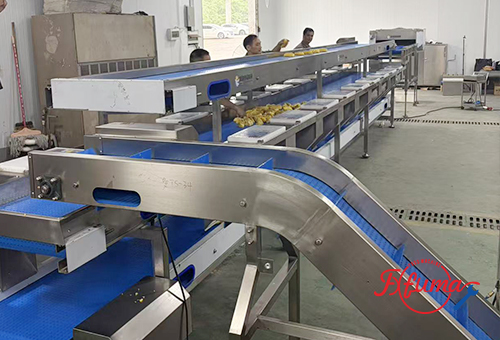 What are the Steps to Process Pineapple Chunks?cid=4