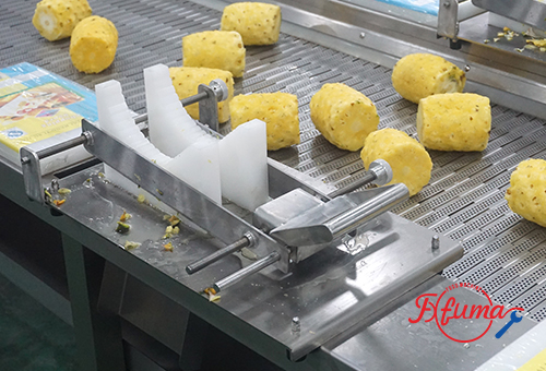 What are the Steps to Process Pineapple Chunks?cid=4