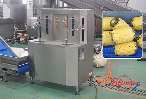 What are the Steps to Process Pineapple Chunks?cid=4