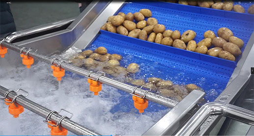 The Complete Guide to Industrial Food Washers: Matching Machines to Your Produce