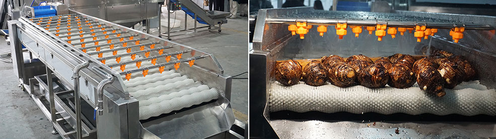 What is Industrial Food Washing Machines: Matching Machines to Your Produce