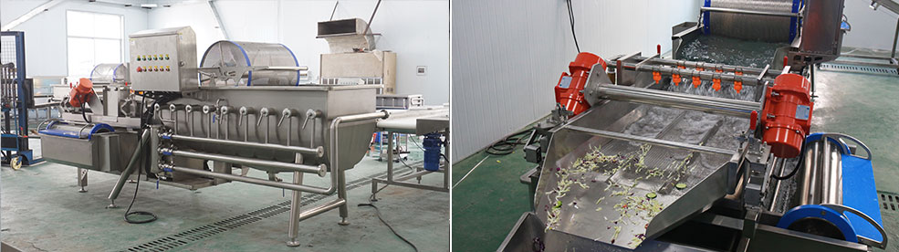 What is Industrial Food Washing Machines: Matching Machines to Your Produce