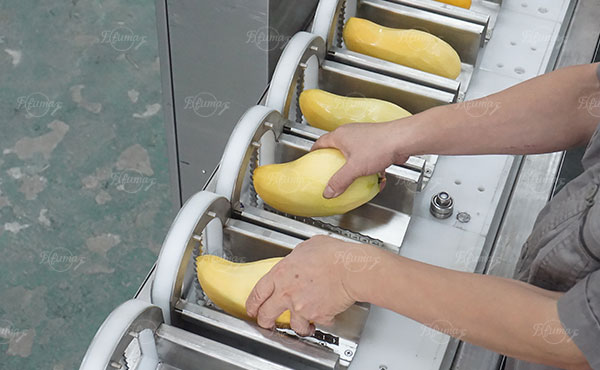 Multi Heads Mango Corer Machine Mango Pit Removing Machine
