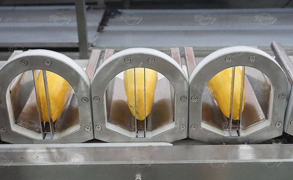 Multi Heads Mango Corer Machine Mango Pit Removing Machine