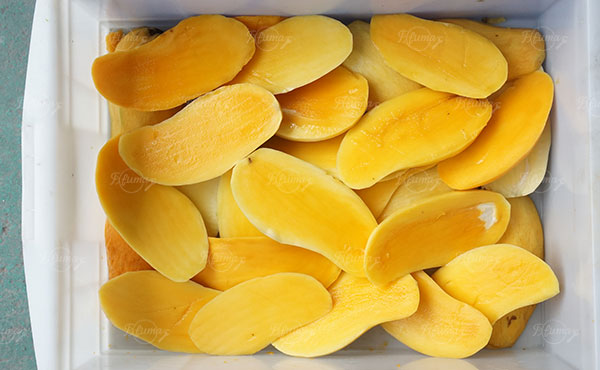 Multi Heads Mango Corer Machine Mango Pit Removing Machine