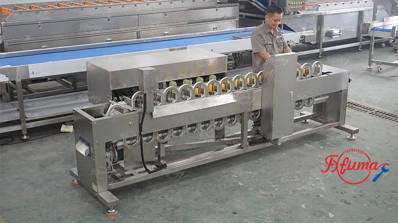 Multi Heads Mango Corer Machine Mango Pit Removing Machine