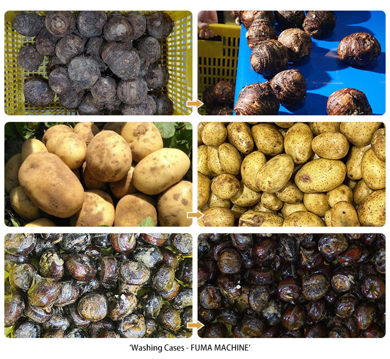 Why Use a Rotary Drum Washer for Muddy Potatoes