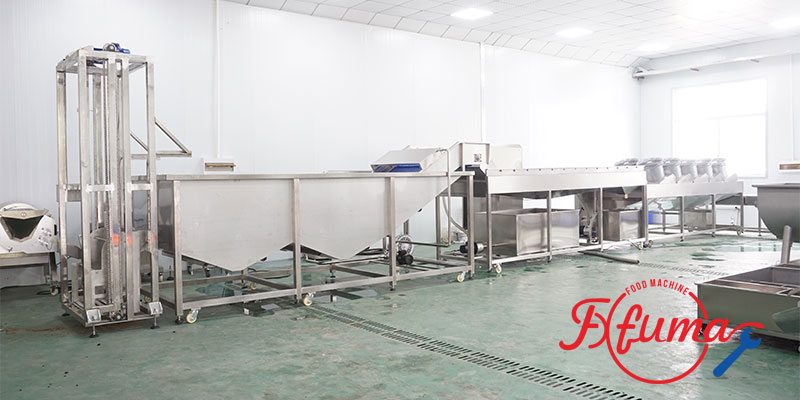 1-3 TPH Sweet Potato Cleaning Production Line