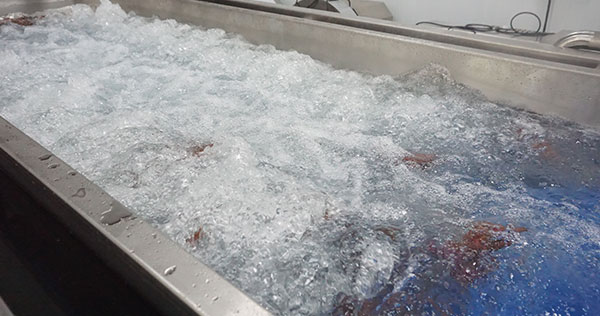 1-3 TPH Sweet Potato Cleaning Production Line