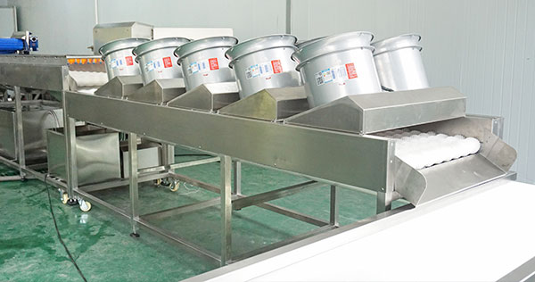 1-3 TPH Sweet Potato Cleaning Production Line