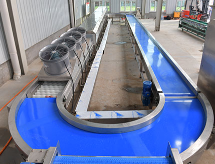 1-5 TPH Industrial Sweet Potato Cleaning