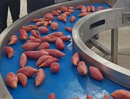 1-5 TPH Industrial Sweet Potato Cleaning