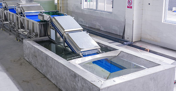 1-5 TPH Industrial Sweet Potato Cleaning
