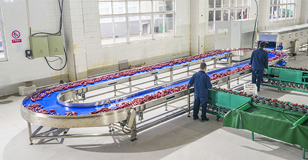 1-5 TPH Industrial Sweet Potato Cleaning