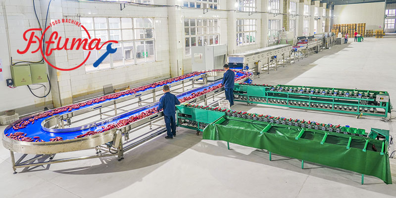 1-5 TPH Industrial Sweet Potato Cleaning