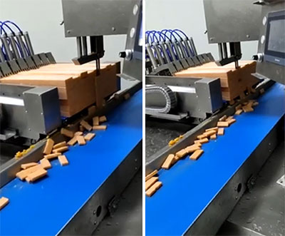 Automatic Bone Saw Machine | Industrial Precision Cutter for Frozen Meat, Fish