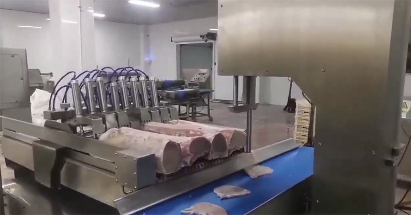 Fully Automatic Bone Sawing Machine User Manual