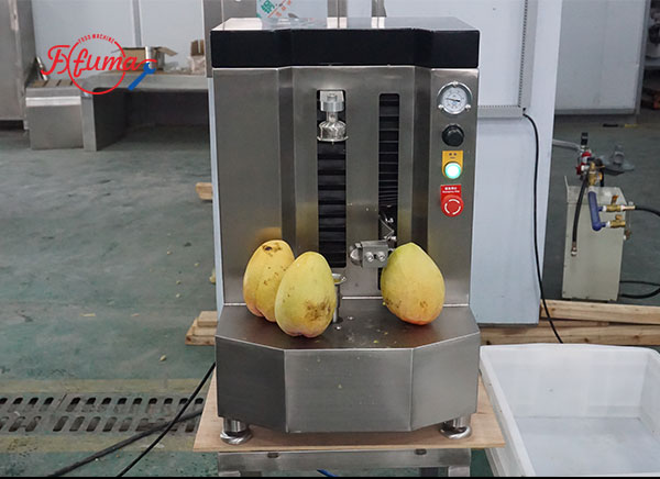 How to Build Your Mango Slicing Line: 8 Equipment Options for Flexible Customization
