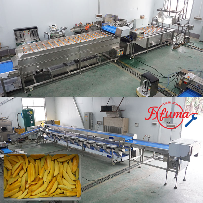 How to Build Your Mango Slicing Line: 8 Equipment Options for Flexible Customization