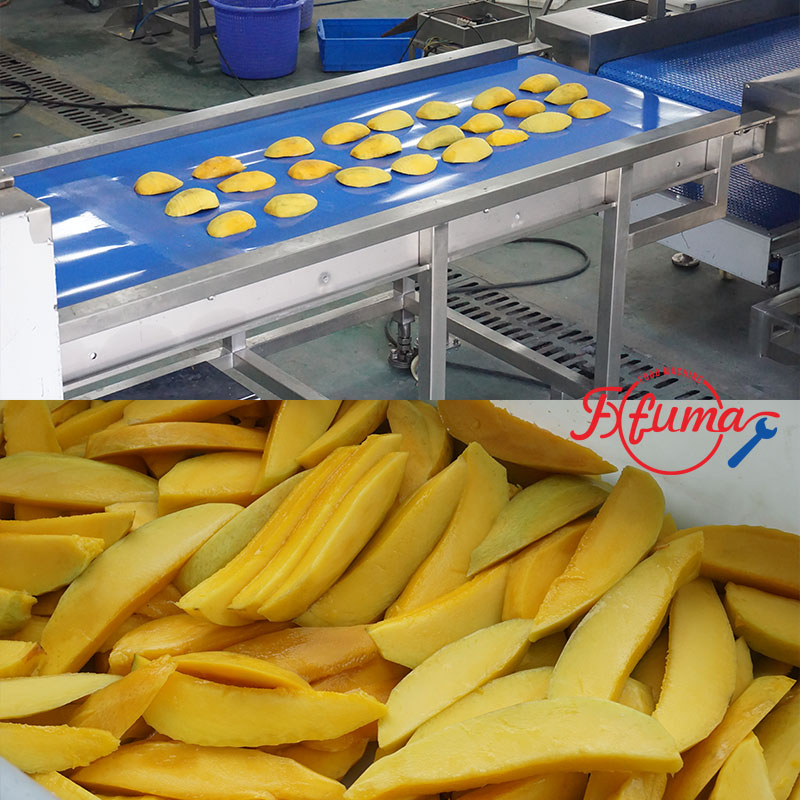 How to Build Your Mango Slicing Line: 8 Equipment Options for Flexible Customization