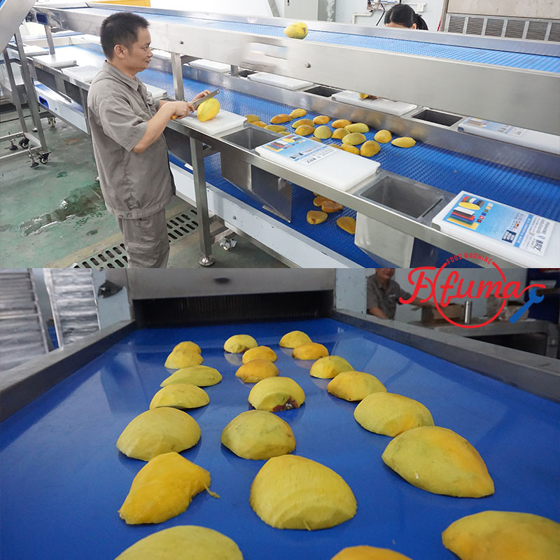 How to Build Your Mango Slicing Line: 8 Equipment Options for Flexible Customization