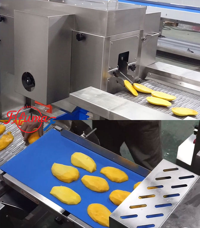 How to Build Your Mango Slicing Line: 8 Equipment Options for Flexible Customization