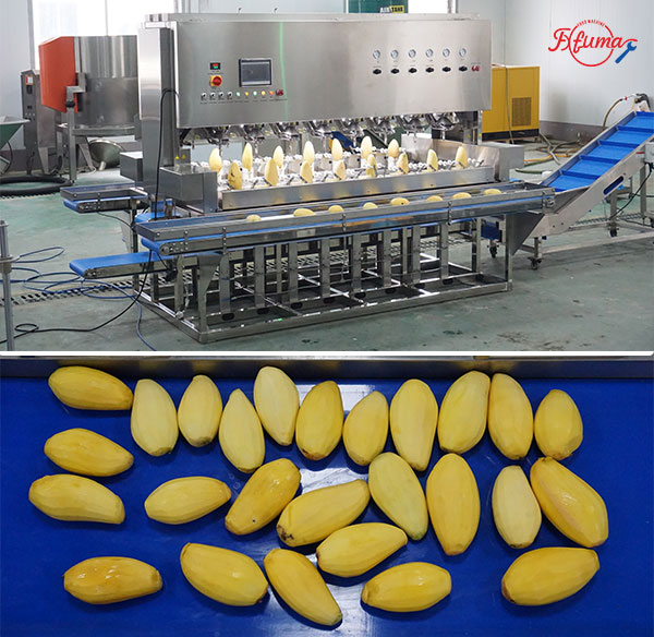 How to Build Your Mango Slicing Line: 8 Equipment Options for Flexible Customization
