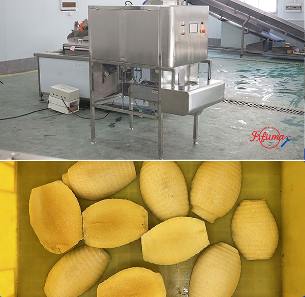How to Build Your Mango Slicing Line: 8 Equipment Options for Flexible Customization