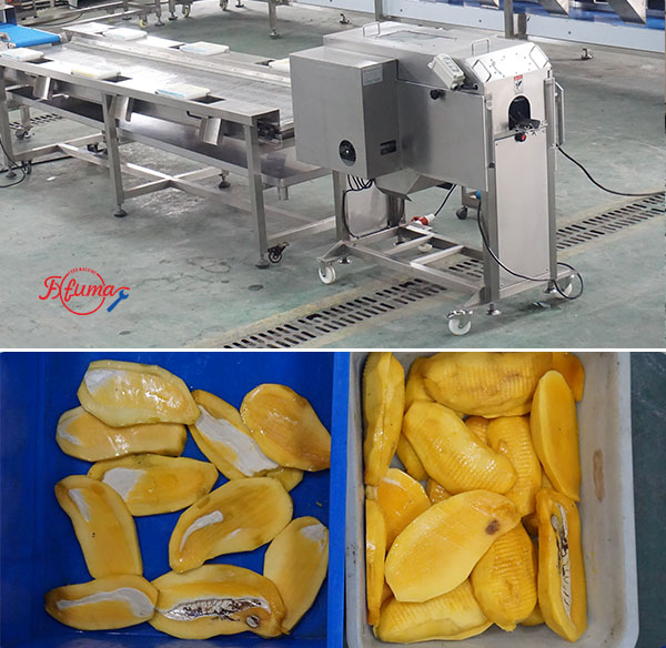 How to Build Your Mango Slicing Line: 8 Equipment Options for Flexible Customization