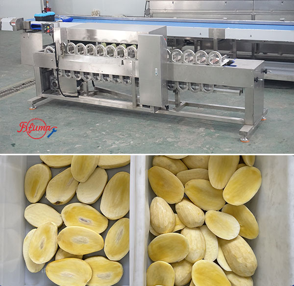 How to Build Your Mango Slicing Line: 8 Equipment Options for Flexible Customization