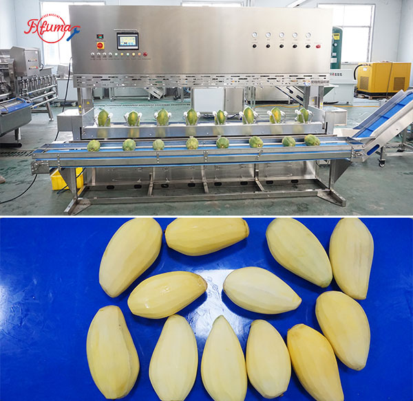 How to Build Your Mango Slicing Line: 8 Equipment Options for Flexible Customization