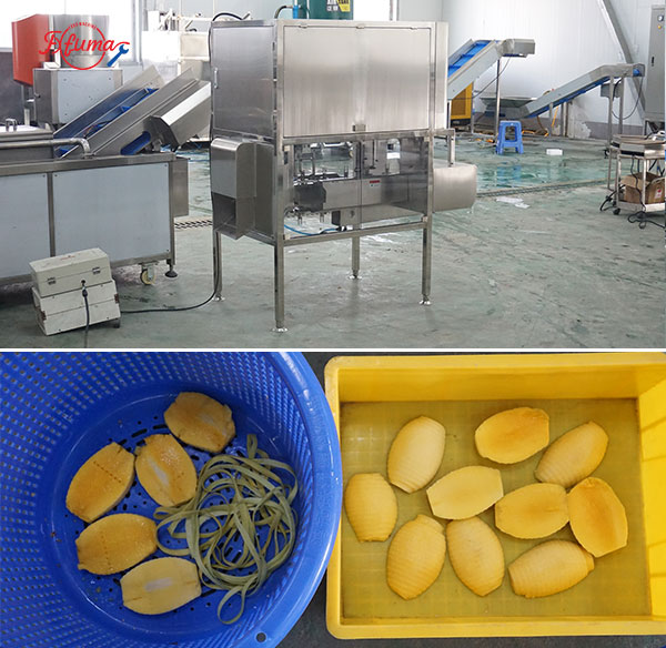 How to Build Your Mango Slicing Line: 8 Equipment Options for Flexible Customization