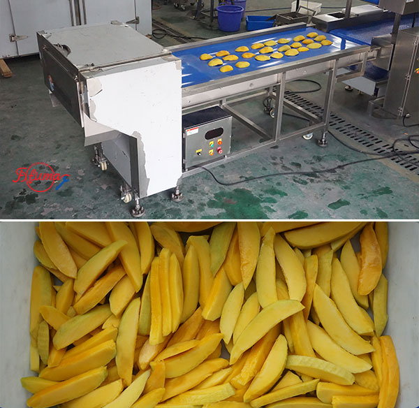 How to Build Your Mango Slicing Line: 8 Equipment Options for Flexible Customization