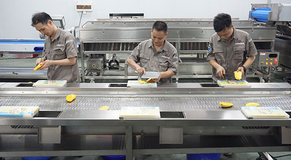 Mango Washing, Coring, Peeling, Slice Cutting Machine Customized Mango Process Line