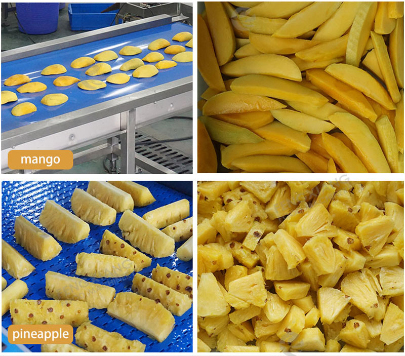 Industrial Mango Roller Slicer Machine Customizable Cutting Size