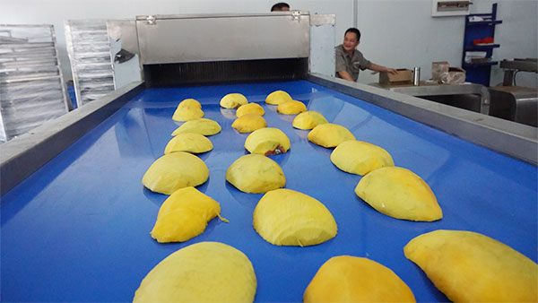 Industrial Mango Roller Slicer Machine Customizable Cutting Size