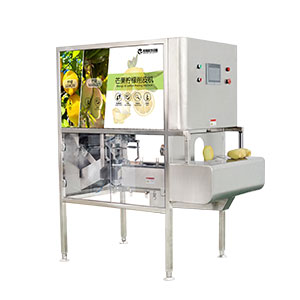 How to Build Your Mango Slicing Line: 8 Equipment Options for Flexible Customization