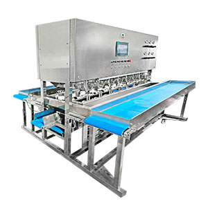 How to Build Your Mango Slicing Line: 8 Equipment Options for Flexible Customization
