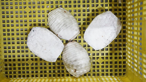 3 in 1 Automatic Taro Peeling, Head Tail Cutting, and Separating Machine