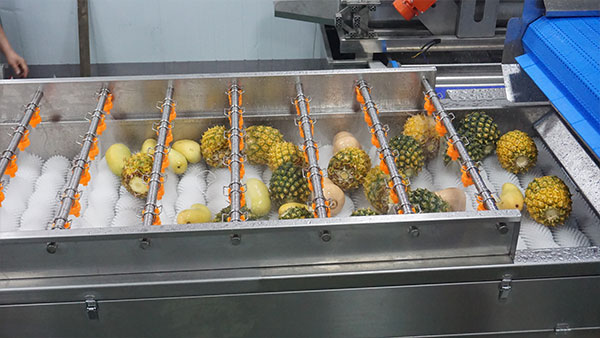 How to Choose the Right Fruit
