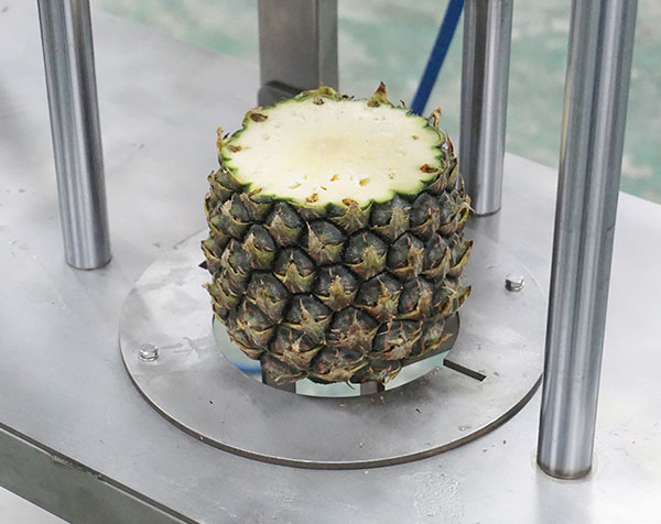 3-in-1 Pineapple Peeler Corer and Cutter Machine