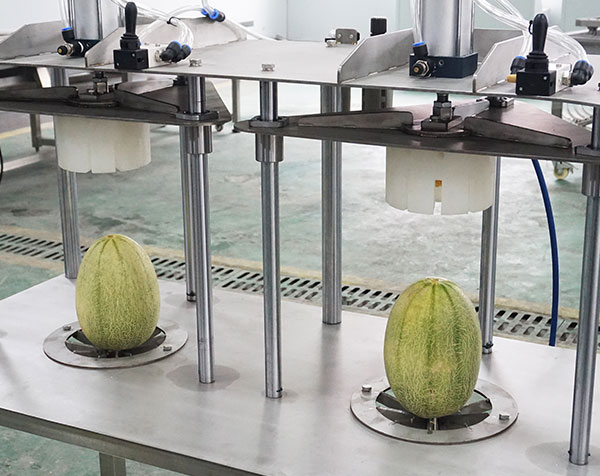 3-in-1 Pineapple Peeler Corer and Cutter Machine