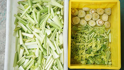 Dual-Head Vegetable Root Trimming and Cutting Machine for Garlic Onion, Scallions, Asparagus