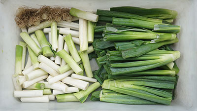 Dual-Head Vegetable Root Trimming and Cutting Machine for Garlic Onion, Scallions, Asparagus