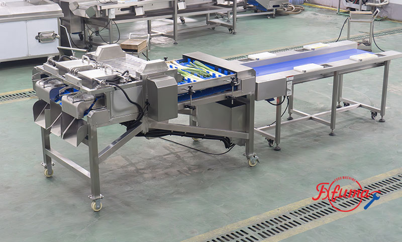 Dual-Head Vegetable Root Trimming and Cutting Machine for Garlic Onion, Scallions, Asparagus